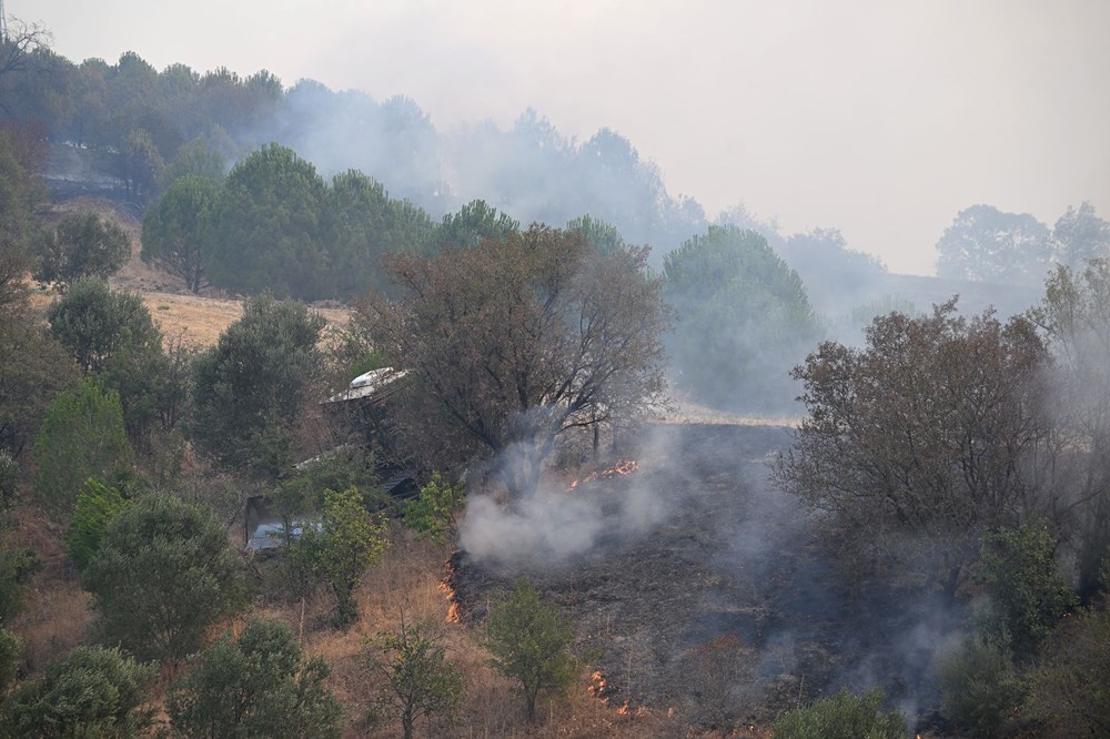 Çanakkale'de orman yangını (Alevlerle mücadelede son durum) - 4