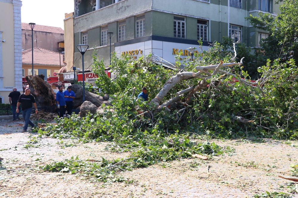 Tarihi Kemeraltı Çarşısı girişindeki asırlık çınar devrildi - 1