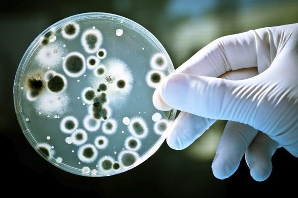 Mikrobiyota teşhis edilemeyen hastalıkların nedeni olabilir! - 1