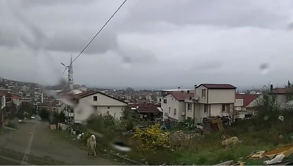 Sahipsiz köpekler saldırdı! 5 yaşındaki çocuk ağır yaralandı