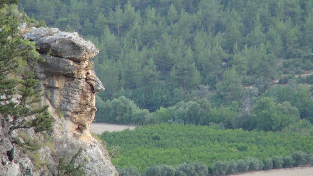 Silifkeli Trump dünya basınında - 2