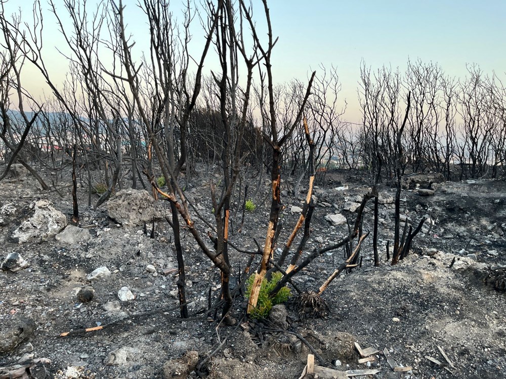 Orman yangınlarında son durum | Osmaniye'deki yangından acı haber: Bir şehit, dört yaralı - 7