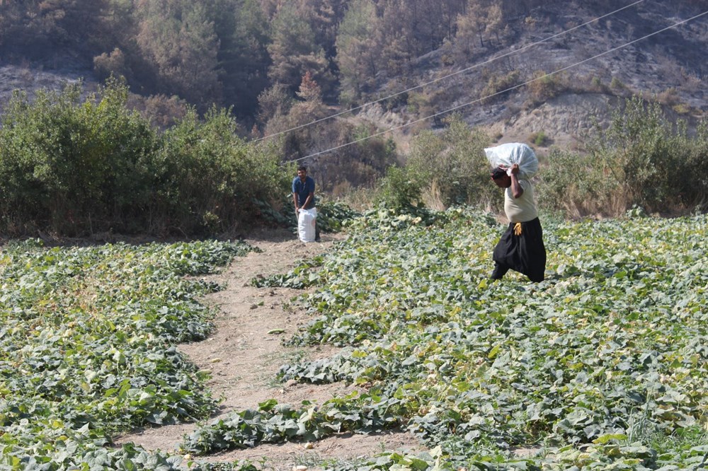 Hatay'daki orman yangını 5'inci gününde kontrol altında - 5