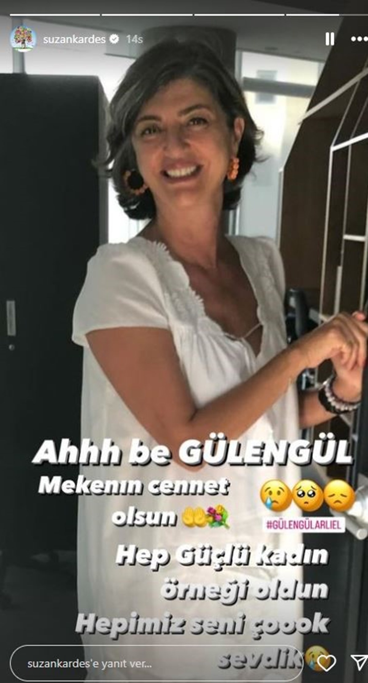 Eşkıya ve Av Mevsimi filmlerinin yapımcısıydı: Gülengül Arlıel hayatını kaybetti