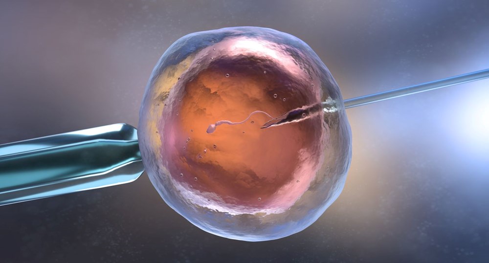ABD’de tüp bebek merkezinde bir kadına kanser genli embriyo nakledildi - 3