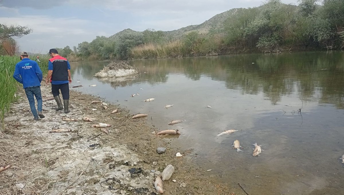 Kızılırmak Nehri'nde balık ölümleri Kızılırmak Nehri'nde balık ölümleri