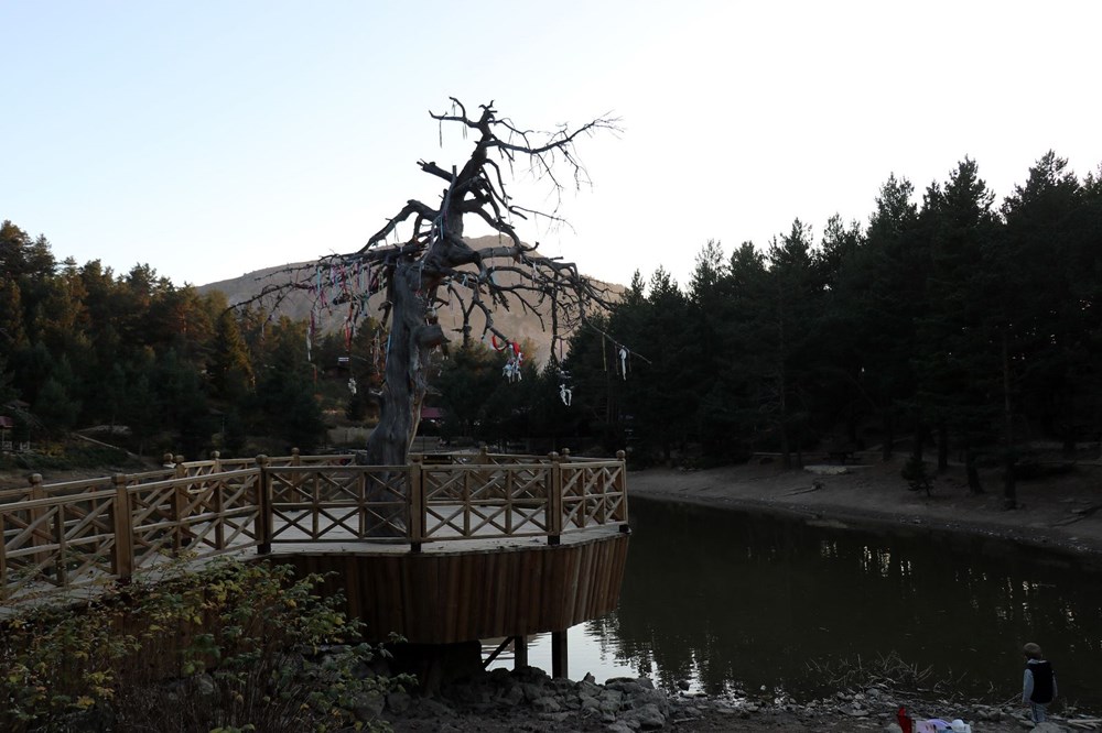 100 bini aşkın kişi ziyaret etti: Limni Gölü pandemide huzurun adresi oldu - 11