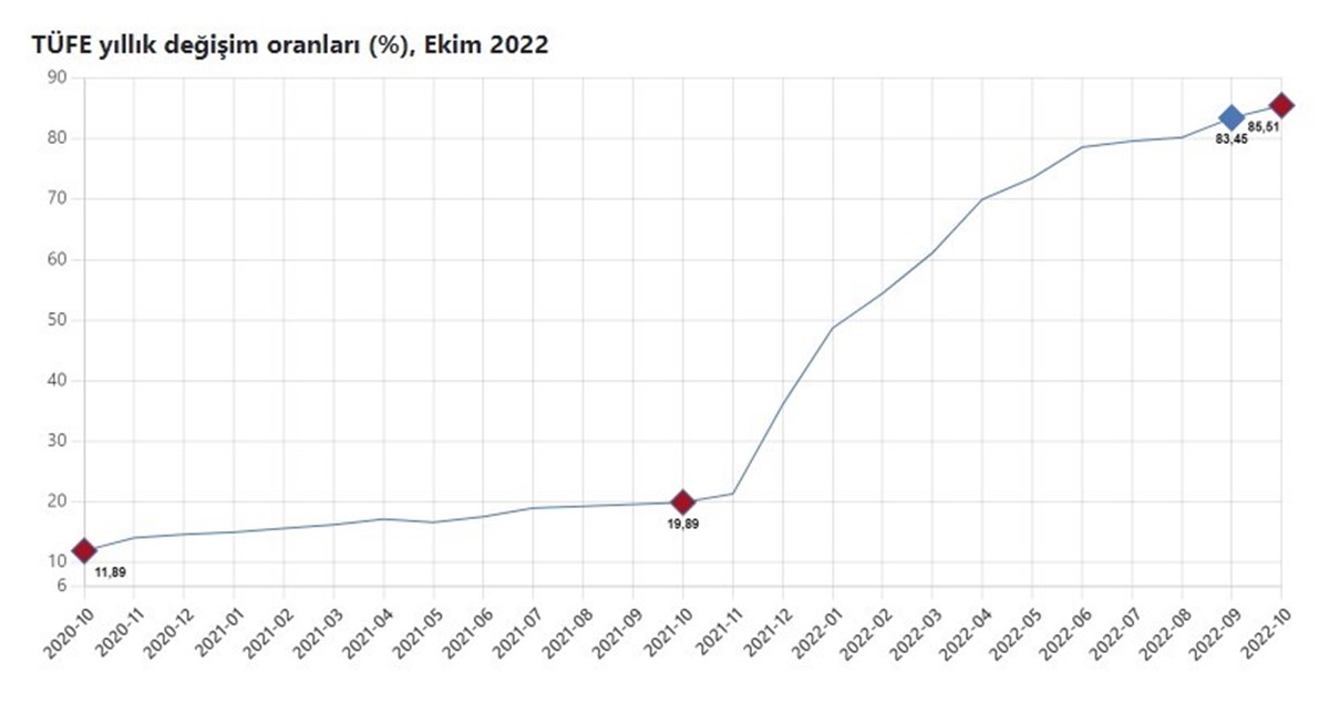 TÜİK verilerine göre enflasyonun seyri.