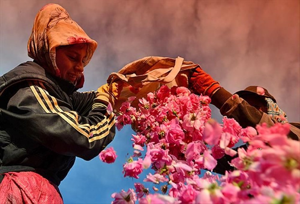 Türkiye'nin 10 lezzeti daha AB'de tescil yolunda - 8