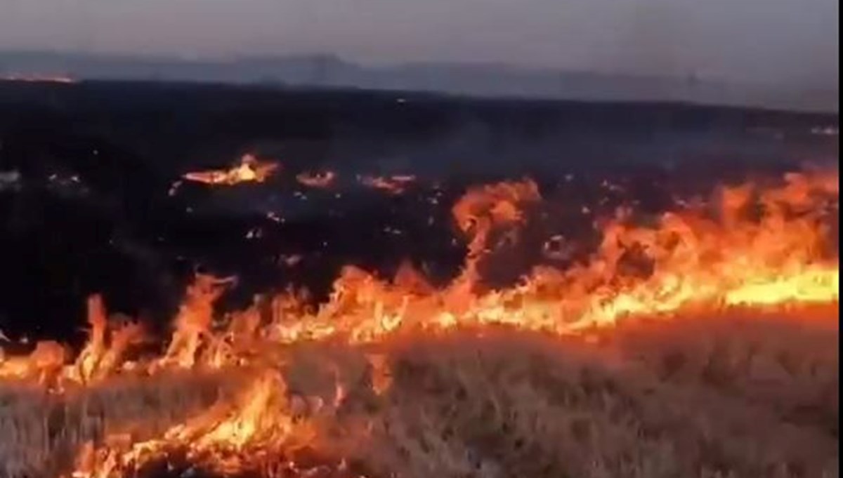 Anız yakan çocuğa gözaltı Anız yakan çocuğa gözaltı