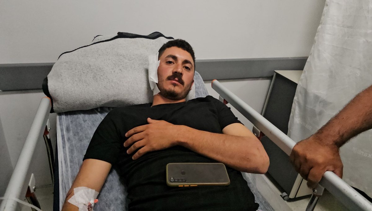 Mantar toplarken ayının saldırısına uğrayan şahıs yaralandı Mantar toplarken ayının saldırısına uğrayan şahıs yaralandı