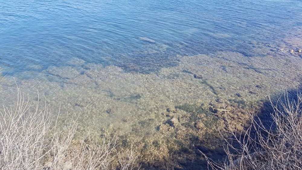 Didim'de su altında 5 bin yıllık liman bulundu - 3