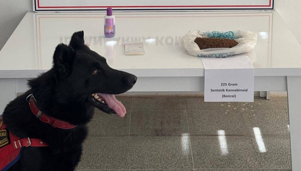 Muş'ta uyuşturucu operasyonu