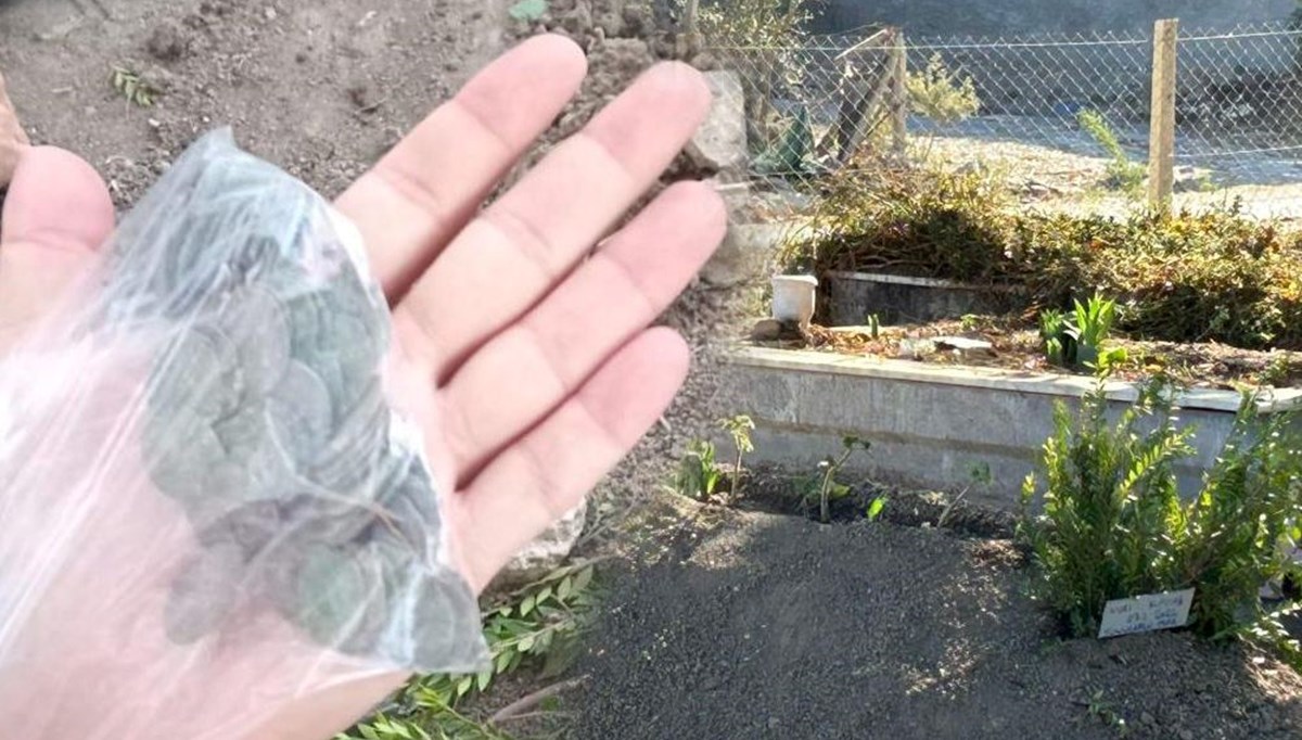 Mezarlıkta defin için yer kazarken define buldu! Topraktan çil çil sikke döküldü Mezarlıkta defin için yer kazarken define buldu! Topraktan çil çil sikke döküldü