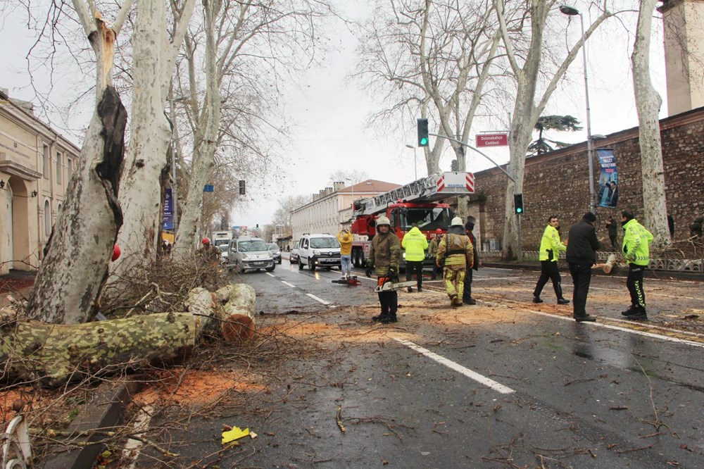 Beşiktaş'ta fırtına nedeniyle asırlık çınar ağacı devrildi - 1