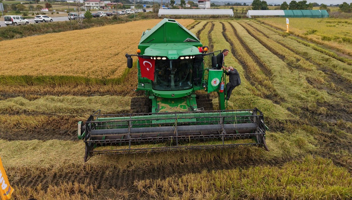 Türkiye’nin en verimli tarım ovalarından biri: Çeltik hasadı başladı