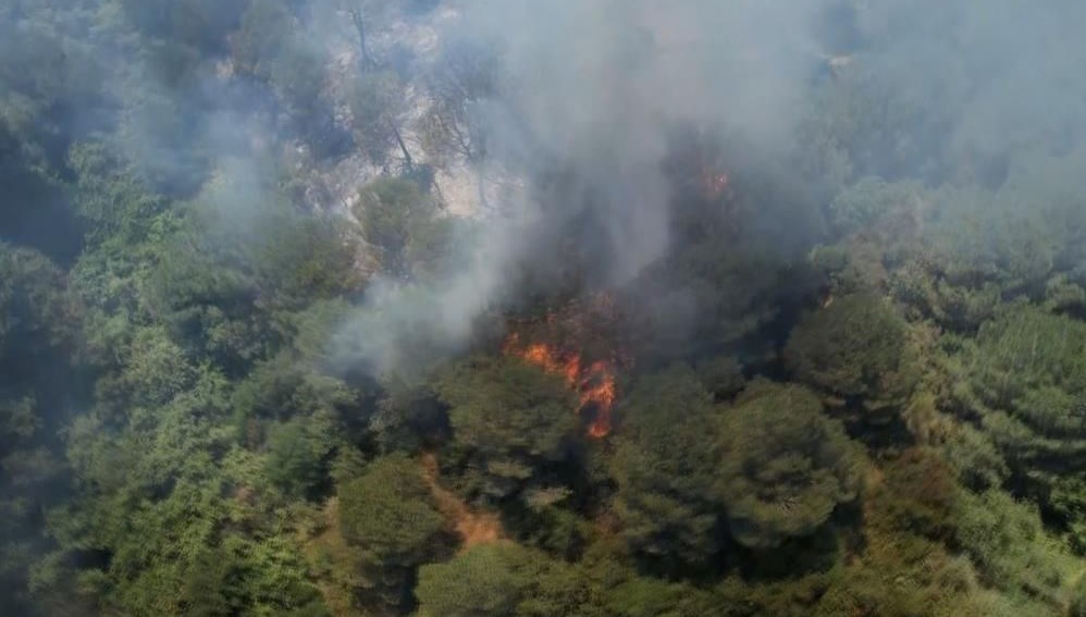 İstanbul'da orman yangını
