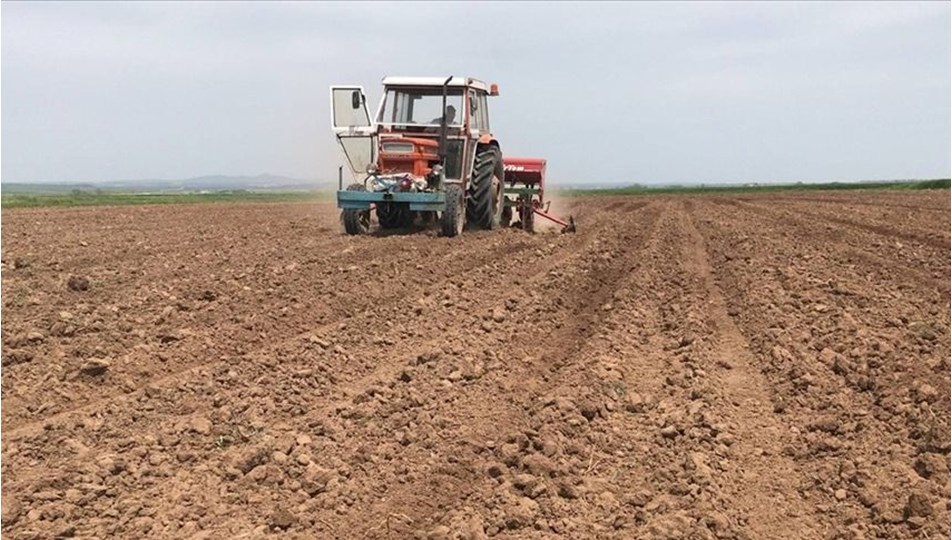 Son 35 yılın en kurak mart ayı: Yağış miktarı yüzde 59 düştü