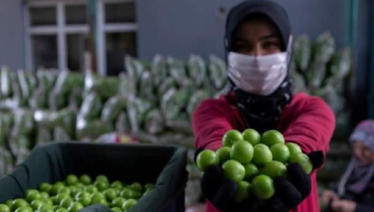 Üreticiden erikleri toplamama kararı