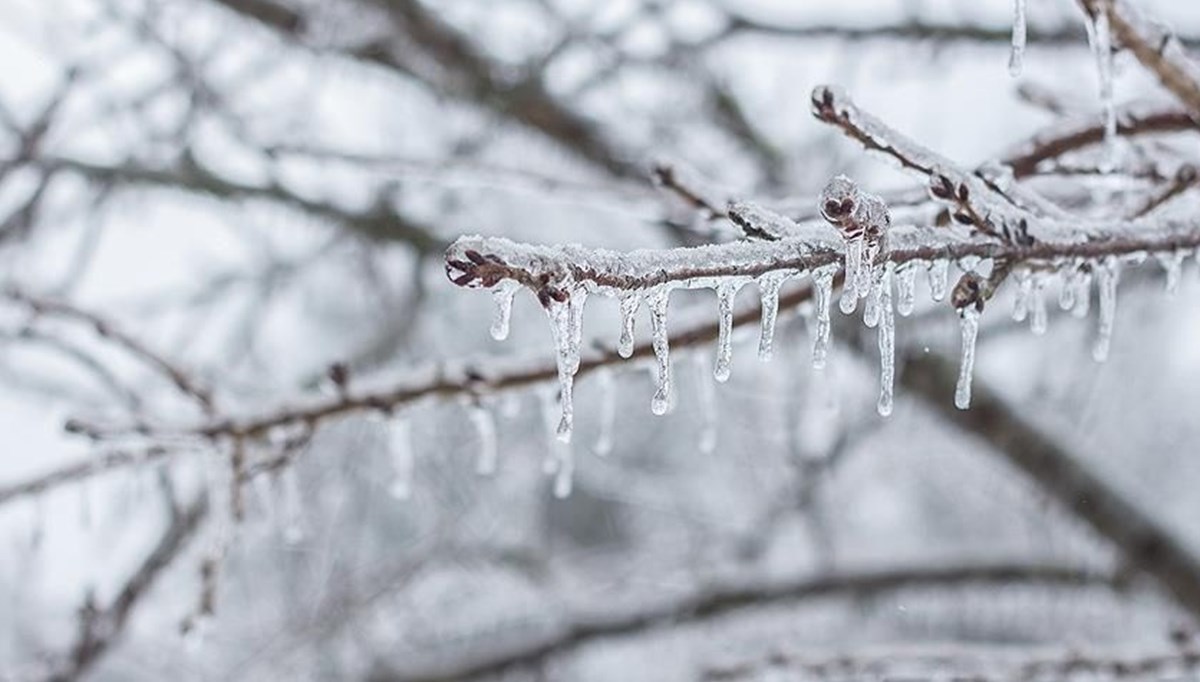 Meteoroloji'den 4 il için çığ, buzlanma ve don uyarısı