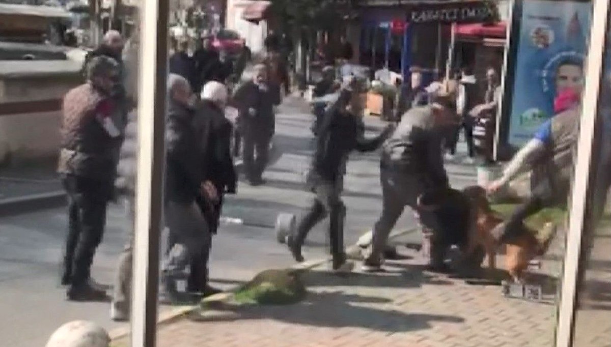 Beyoğlu'nda pitbull dehşeti: 3 yaralı