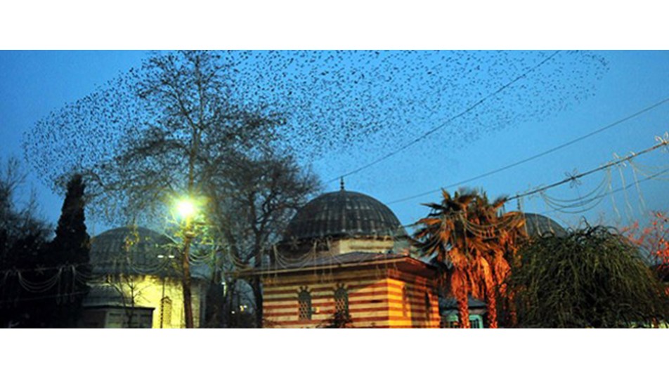 Eyüp fünikülerle metroya bağlanacak