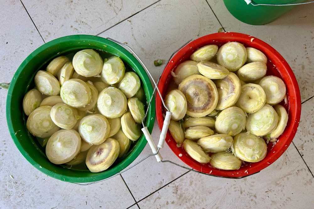 5Idvaj504U2iCJugQyv1Tw