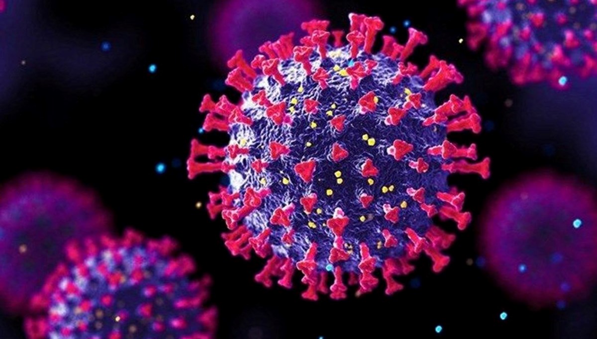 27 Şubat 2022 corona virüs tablosu: 206 can kaybı, 49 bin 792 yeni vaka
