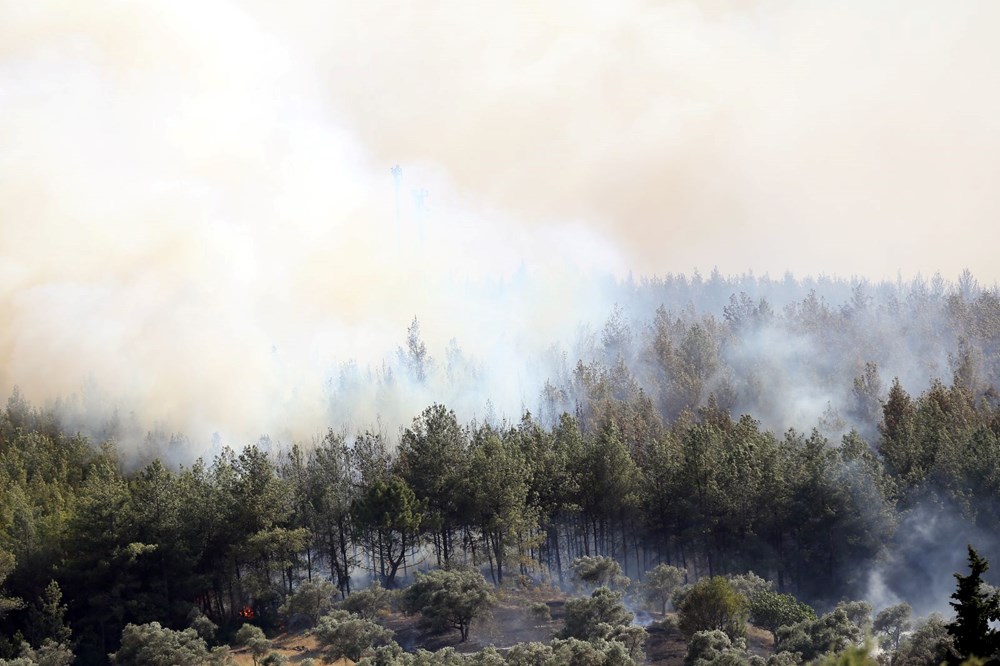 İzmir, Muğla, Balıkesir ve Kahramanmaraş’ta orman yangınları - 11