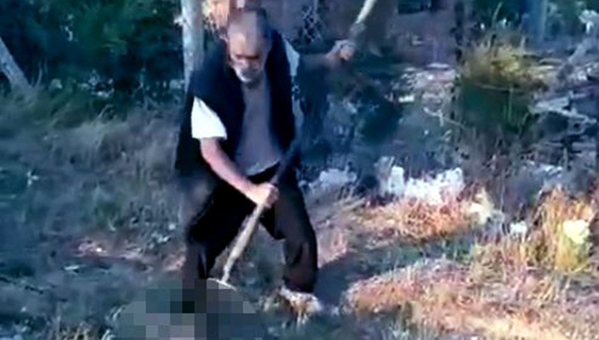 Ankara’da kan donduran vahşet: Yavru köpeği dirgenle öldürdü Ankara’da kan donduran vahşet: Yavru köpeği dirgenle öldürdü