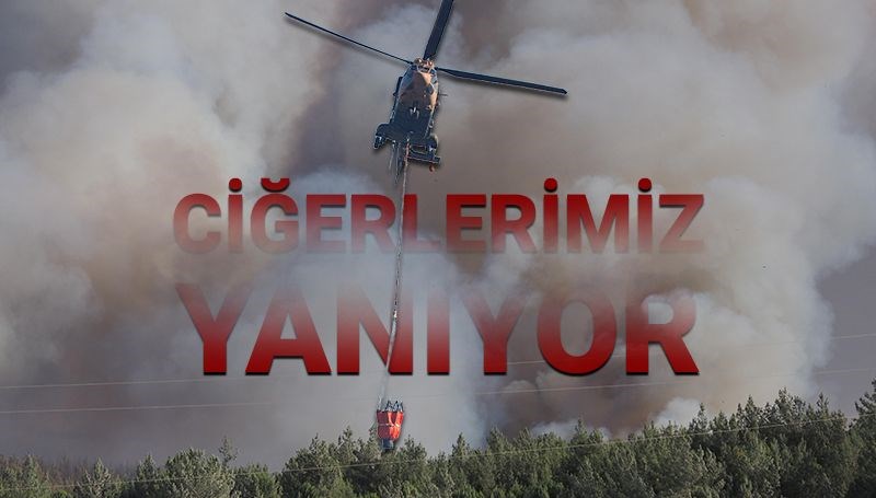 İzmir'de orman yangınları sürüyor: Ödemiş, Buca ve Çeşme'de son durum