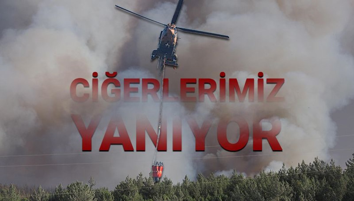 Ödemiş, Buca ve Çeşme'de son durum