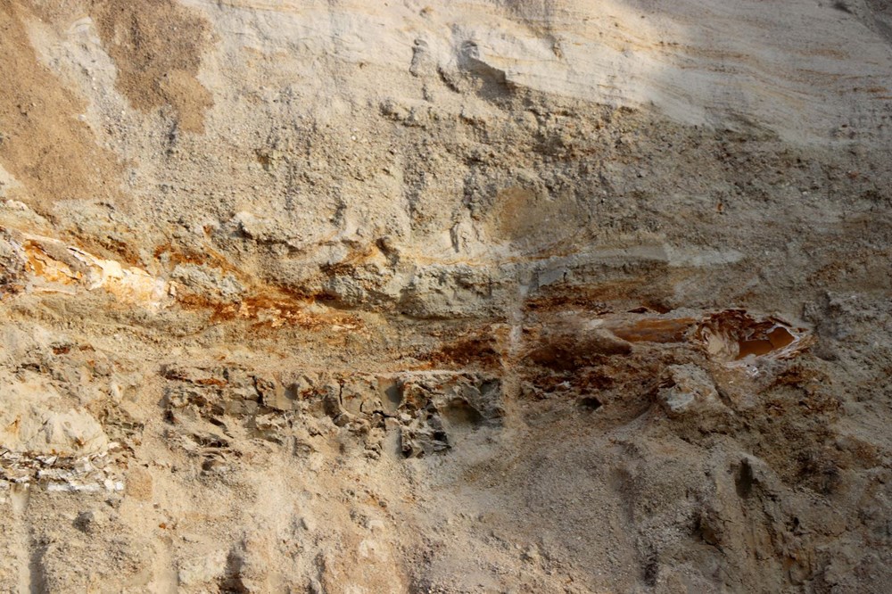 Edirne'de 8 milyon yıllık mamut fosilleri bulundu - 3