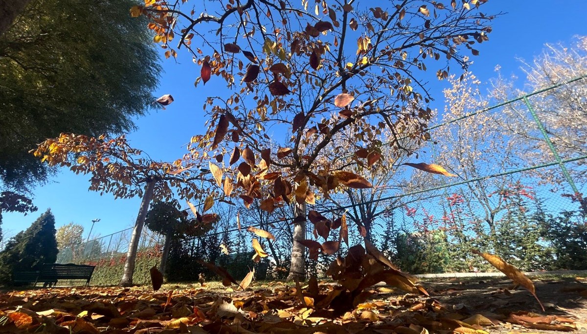 Eskişehir Kanlıkavak Parkı’nda sonbahar manzarası mest etti