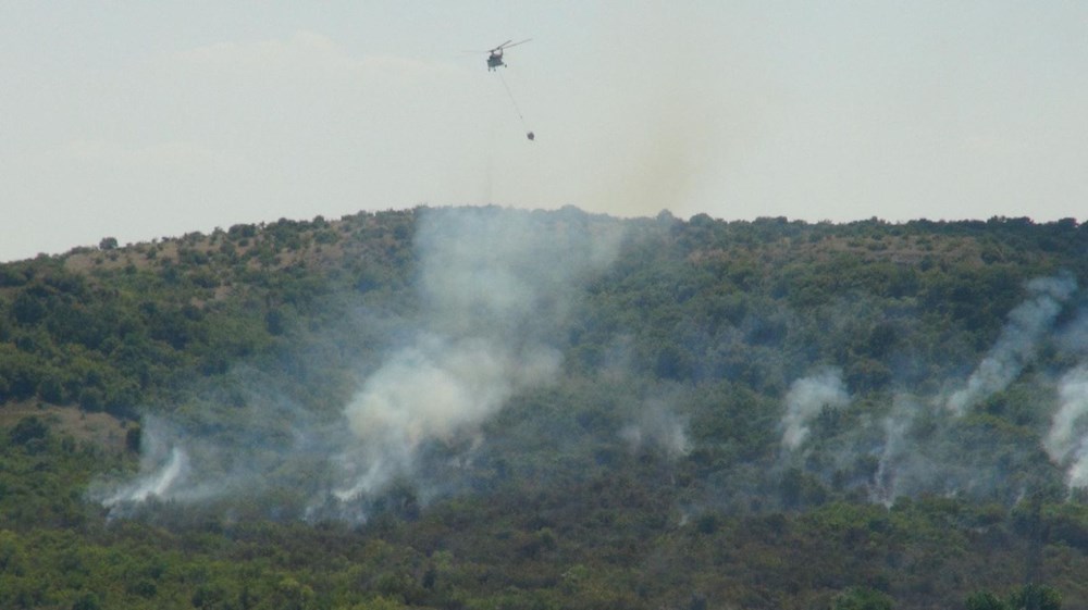 Edirne, Adana, Kahramanmaraş, İzmir ve Balıkesir'de orman yangını - 2