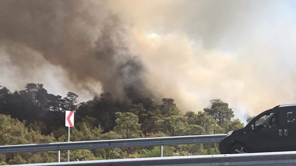 Muğla Fethiye'de orman yangını - 2