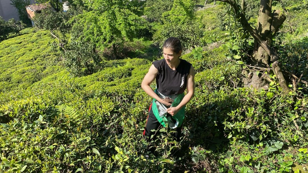 Çay bahçesinden Dünya Şampiyonası'na: Artvinli Nisa Gül'ün maksadı Japonya 76 5S9TENo4fkeN7L3u2ivNIA