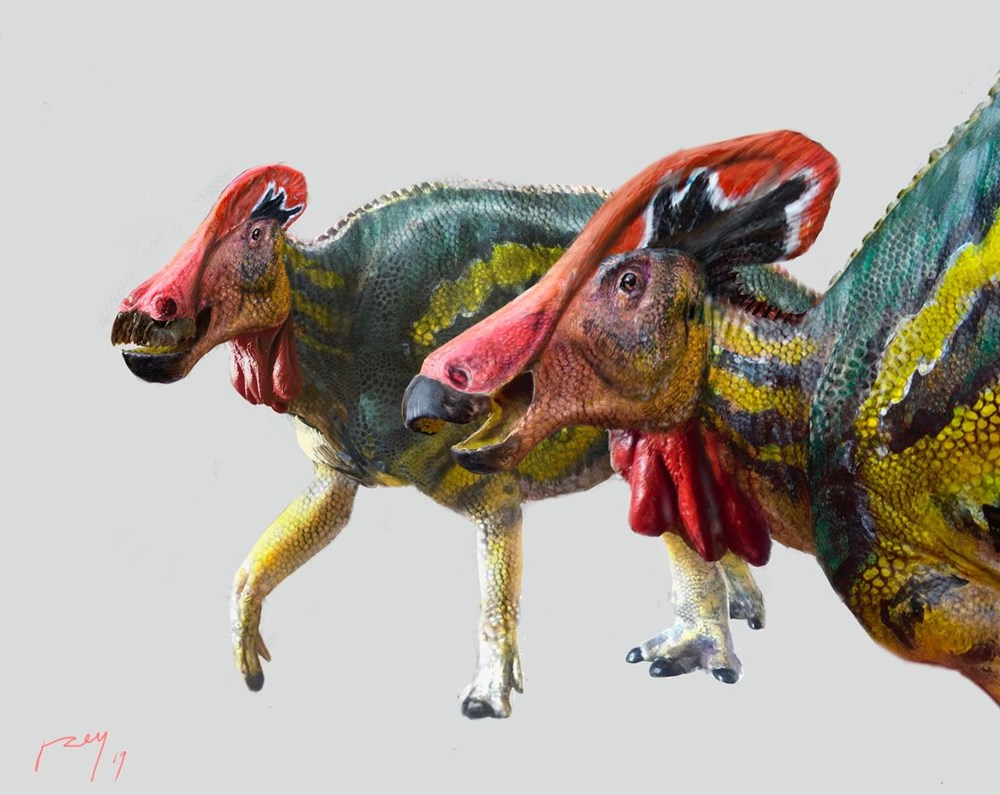 Meksika’da 72 milyon yıl önce yaşayan ve iletişim becerileri güçlü yeni bir dinozor türü keşfedildi - 3