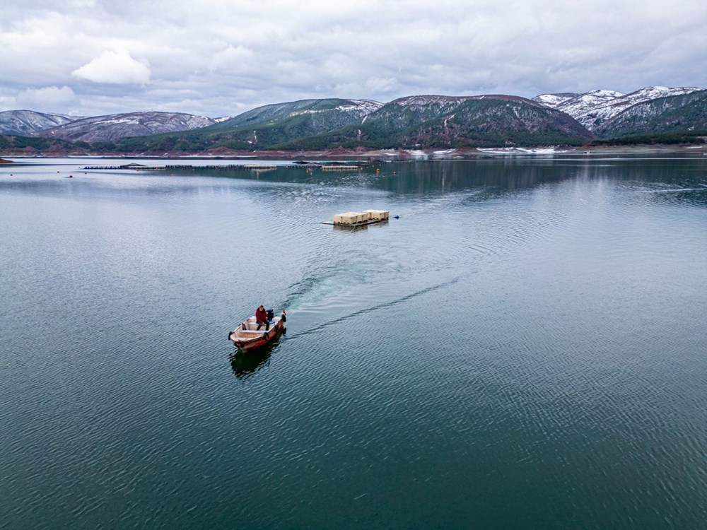 Denizsiz Balıkçılık Mucizesi: 6 Yıllık Serüven Dünya'ya Açılıyor 73 5SP1FrD2IkOPPL p00aRdA