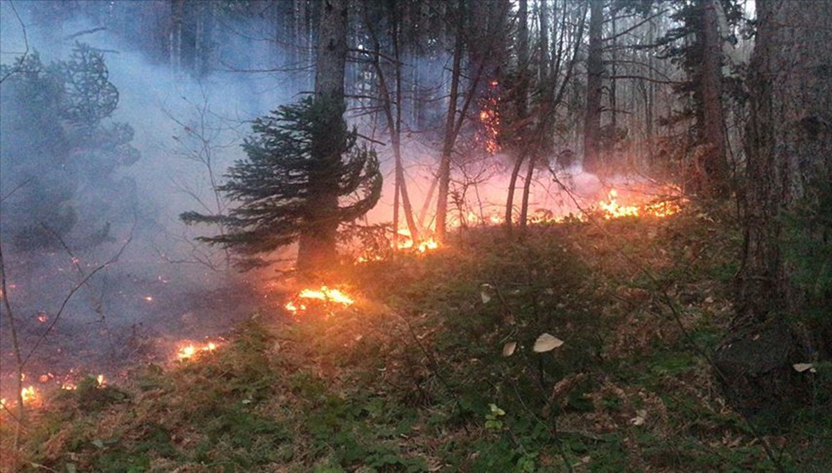 Bir yılda 3 binden fazla orman yangını