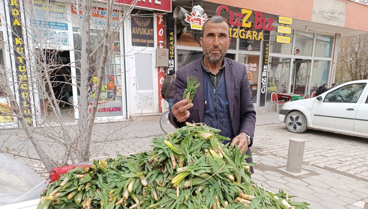 Dağlardan toplanıyor: Şifalı ota halkın ilgisi büyük