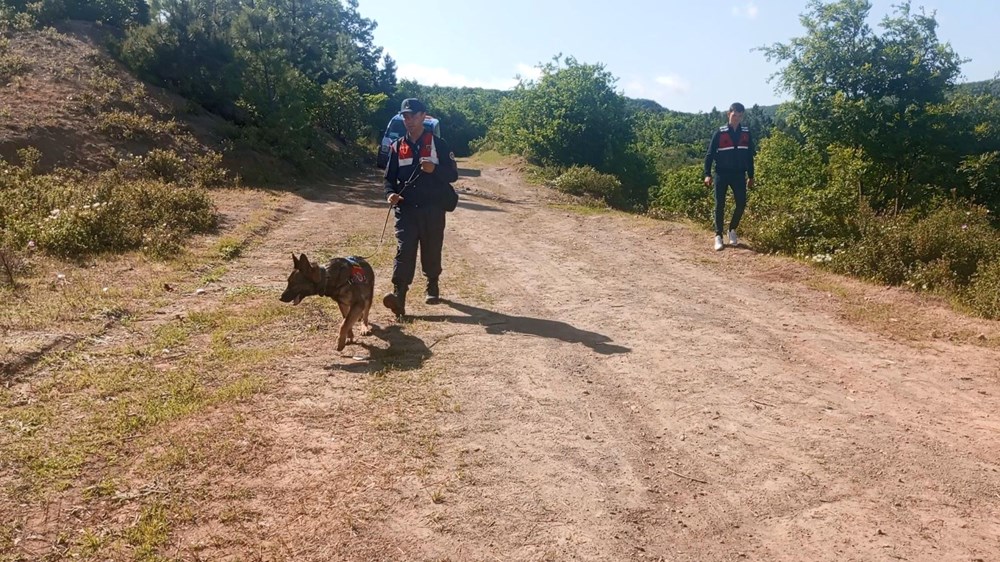 Alan taraması 5'inci günde de devam ediyor: Arama köpeği kafatası parçası buldu - 3