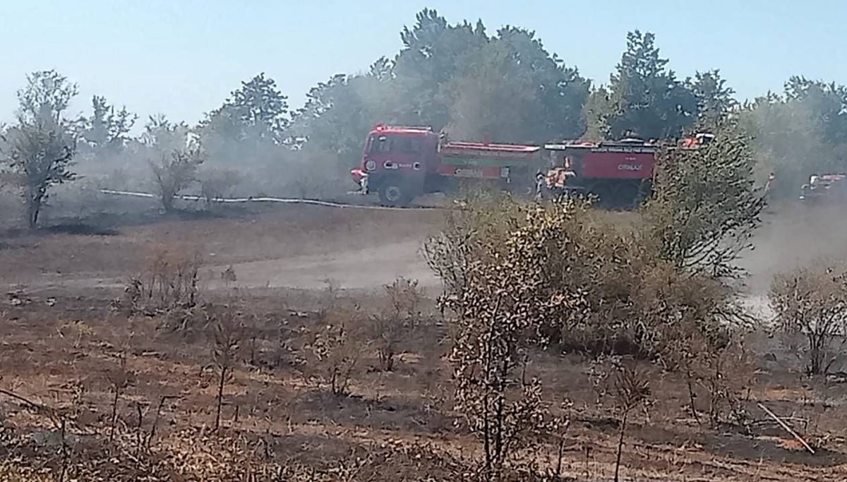 Bilecik’te arazi yangını