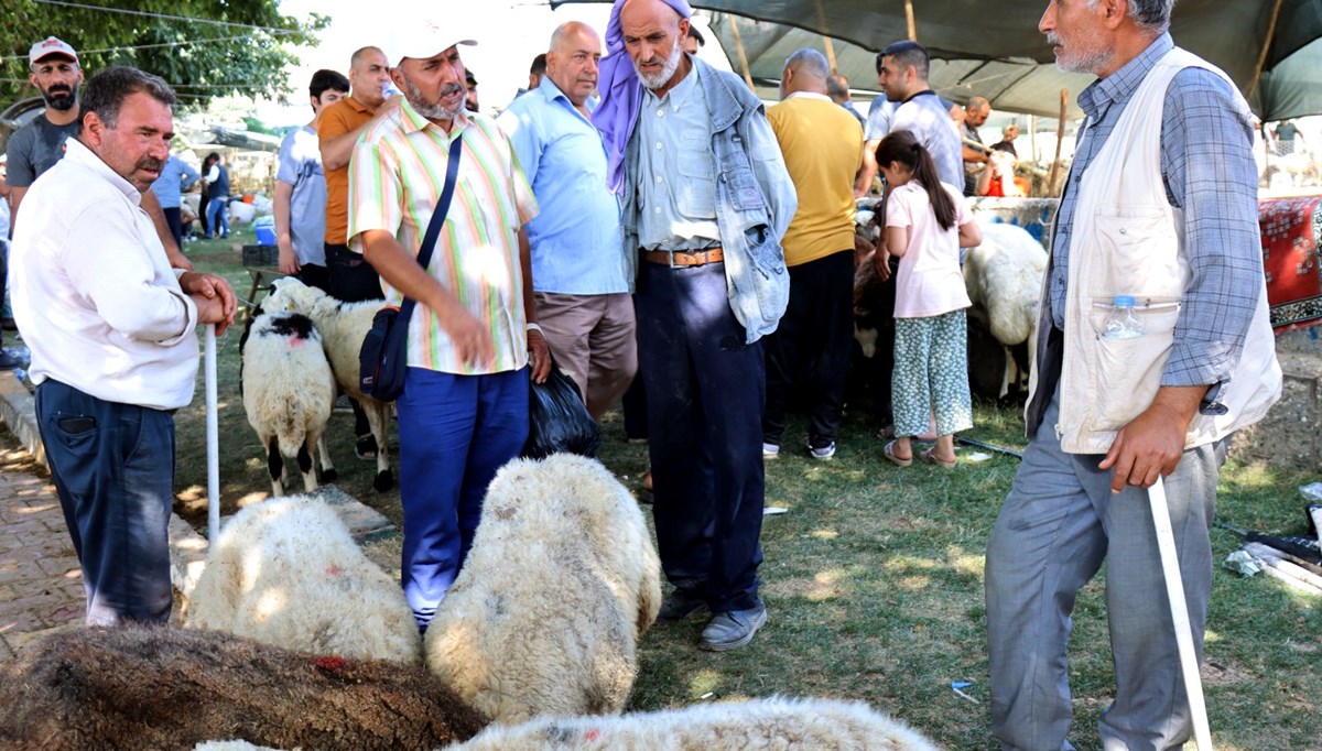 Şanlıurfa'daki hayvan pazarlarında hareketlilik sürüyor