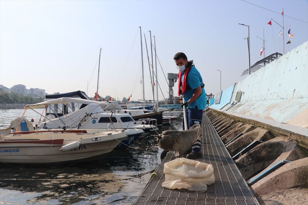 Müsilaj sağlık için tehdit mi? Bilim kurulu üyesinden açıklama - 2