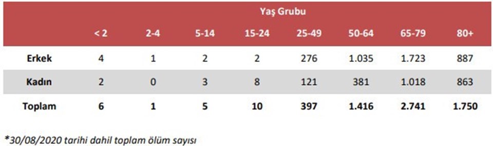 Sağlık Bakanlığı raporu: 15 yaşından küçük 12 çocuk kaybettik - 1