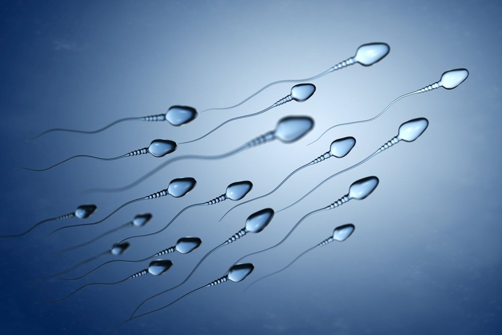 Dünyanın birinci sperm nakli: İhtilal niteliğinde bir tedavi olabilir 76 5WVsBsiUIkeXHJz73XnJbA