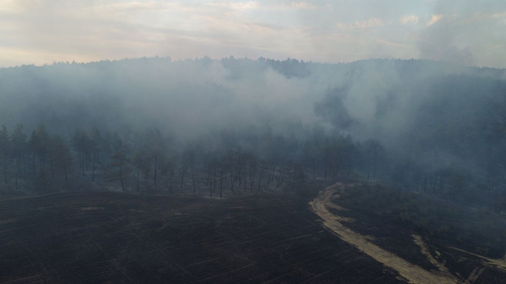Türkiye'nin ciğerleri yanıyor: İşte yangınlarda son durum - 4
