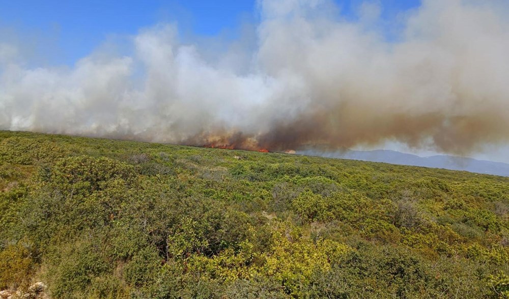 Muğla ve Aydın’da yangın (Havadan ve karadan müdahale ediliyor) - 3