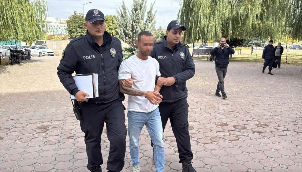 Şehit babasına hakaret eden şoför serbest